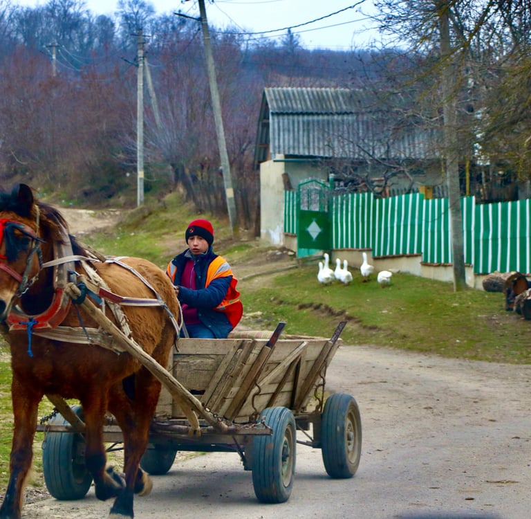 Moldawien Kutsche Kind
