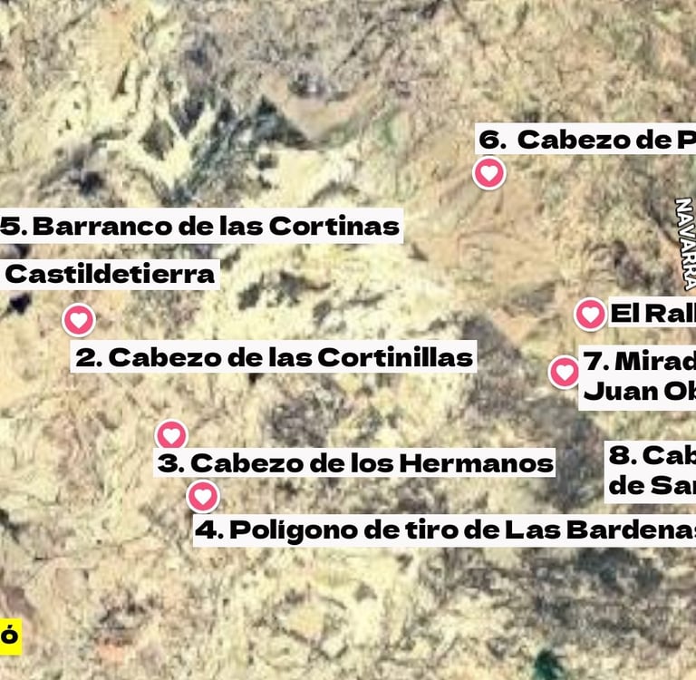 Mapa de la ruta circular por las Bardenas Reales con 8 puntos de interés marcados