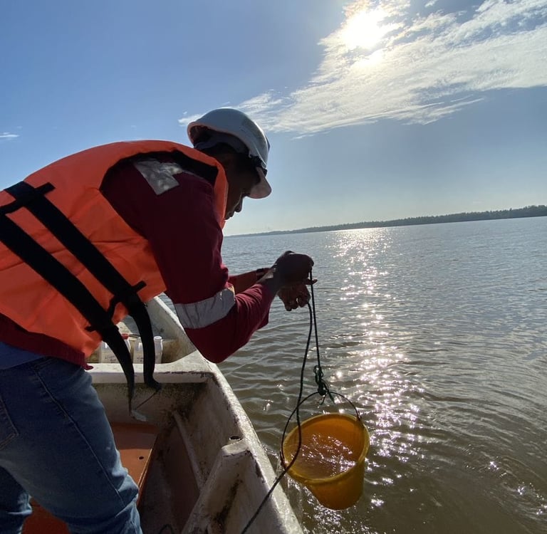 Water quality monitoring
