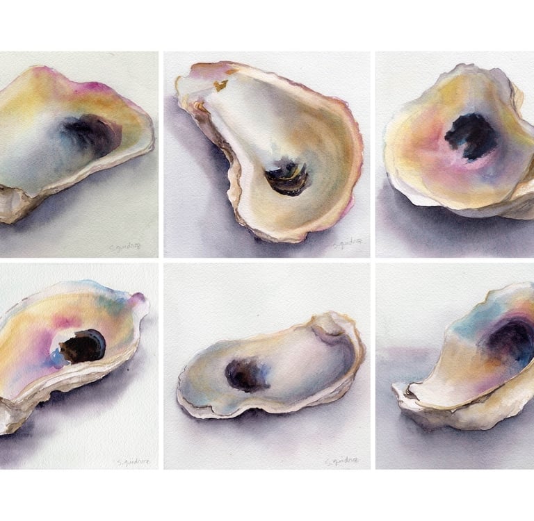 watercolor painting of an oyster shell