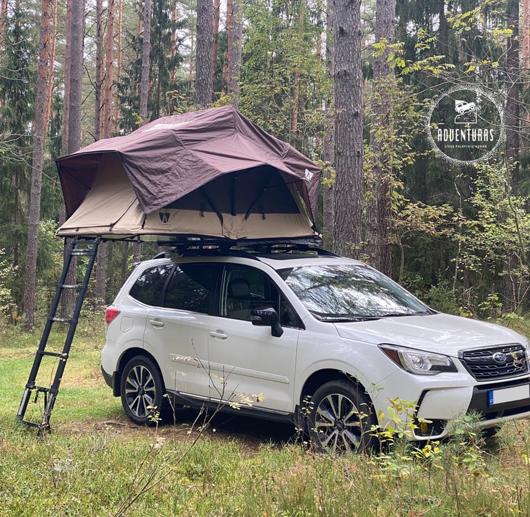 Little Bamboo palapine Subaru