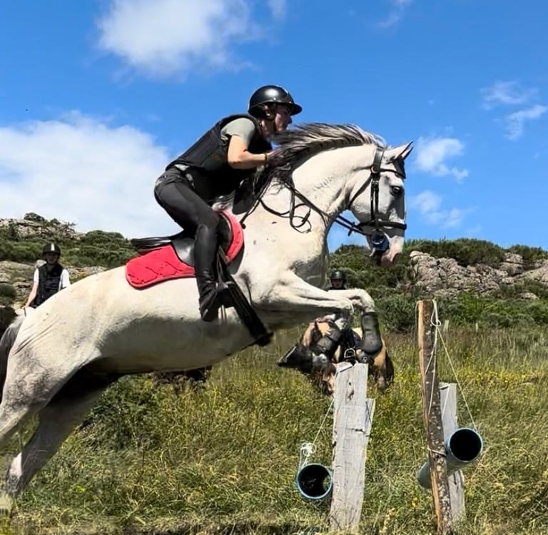 Saut d'obstacles à cheval à La Luc