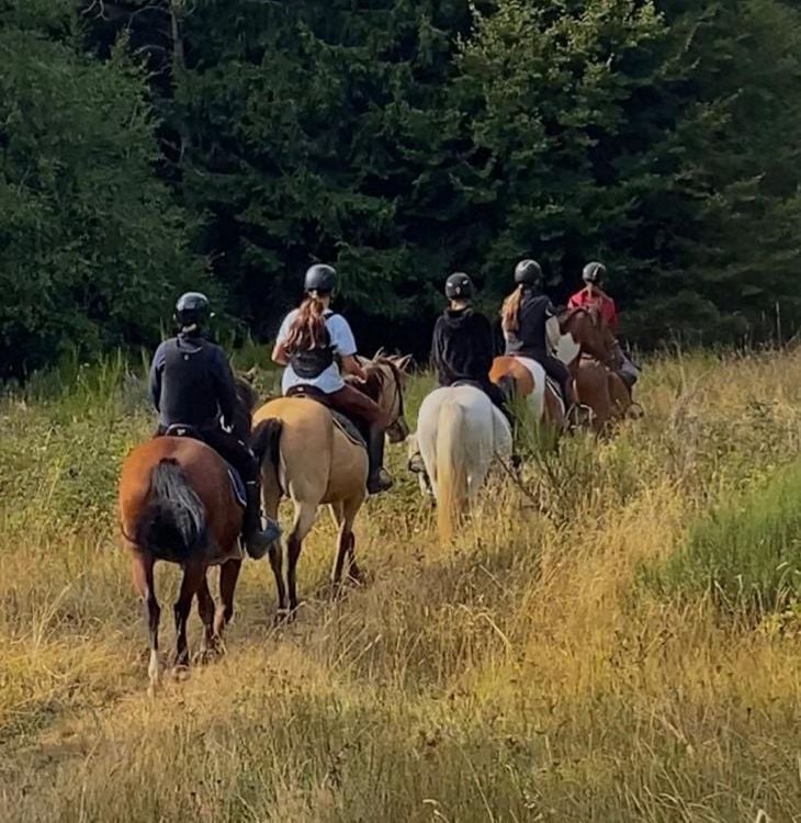 Randonnée à cheval sur le plateau ardéchois