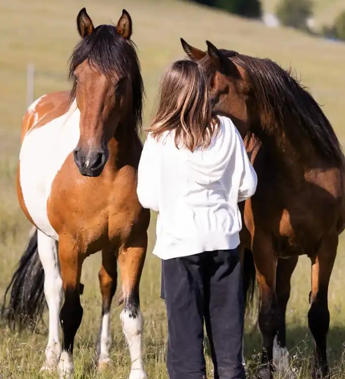 Jeune fille rencontre des chevaux