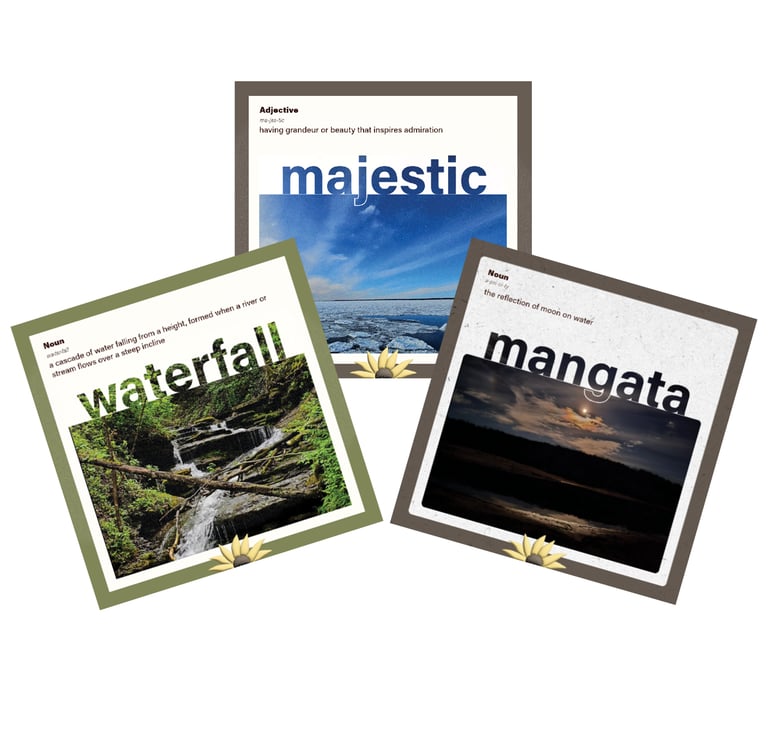 visual dictionary of the natural world