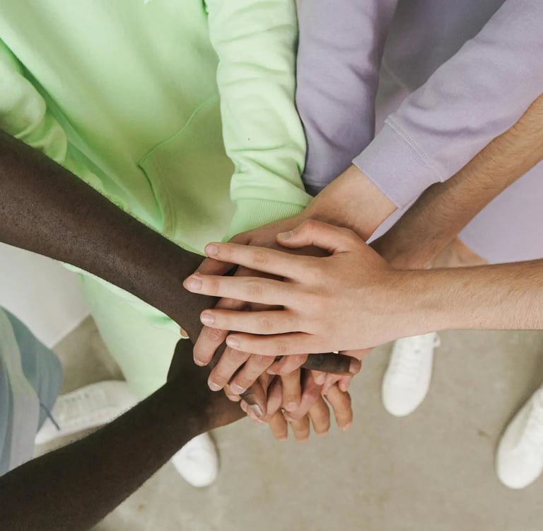 Skool - La quête des sentinelles