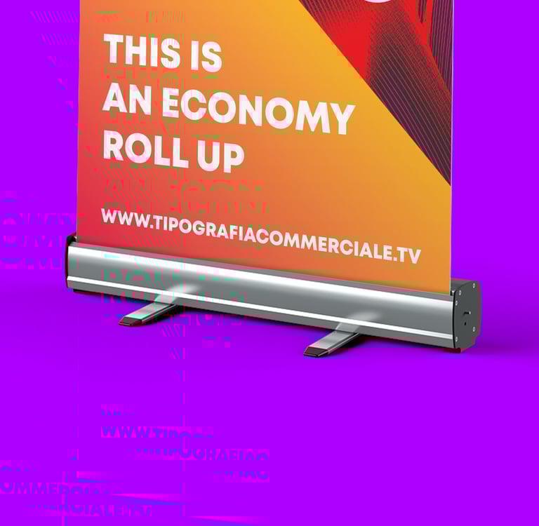 Roll up in vendita a treviso