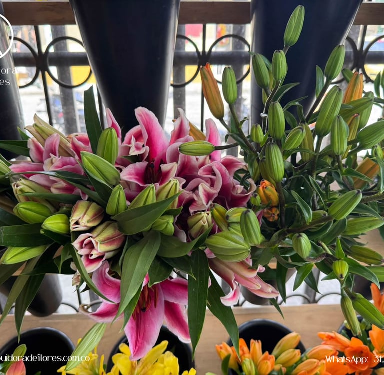 distribuidores de flores pereira