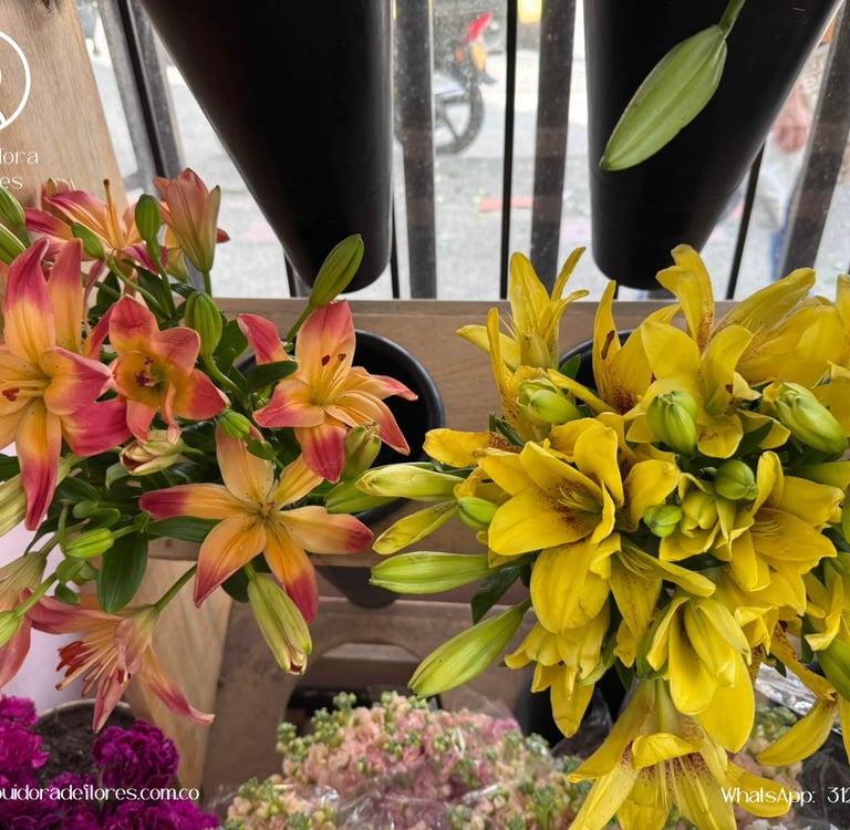 distribuidora de flores pereira