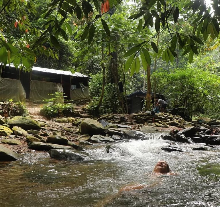 Bukit Lawang Tour Package with 4 day jungle trek through Gunung Leuser National Park.