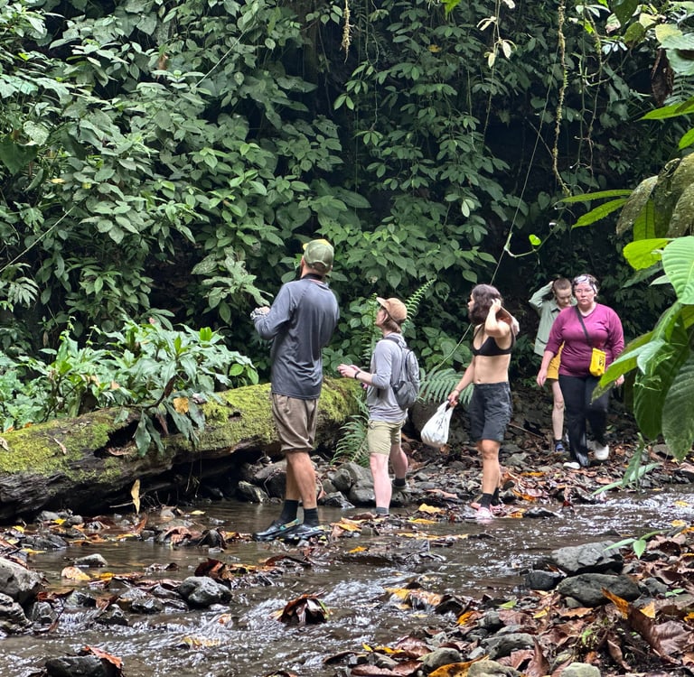 Bukit lawang trekking prices and durations