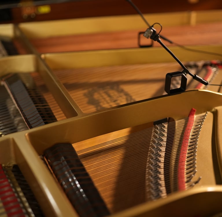 yamaha g5 microfonato con neumann all'avangarage recording studio pesaro e urbino