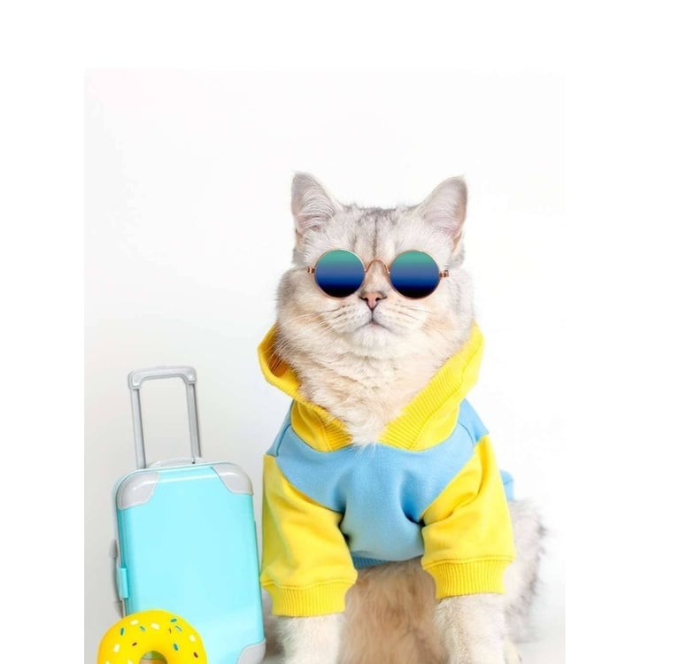 Un gato peludo con gafas de sol y una sudadera con capucha junto a una maleta de viaje azul.