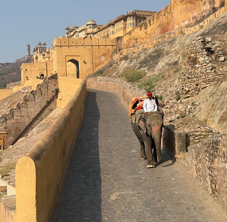 amber fort jaipur india