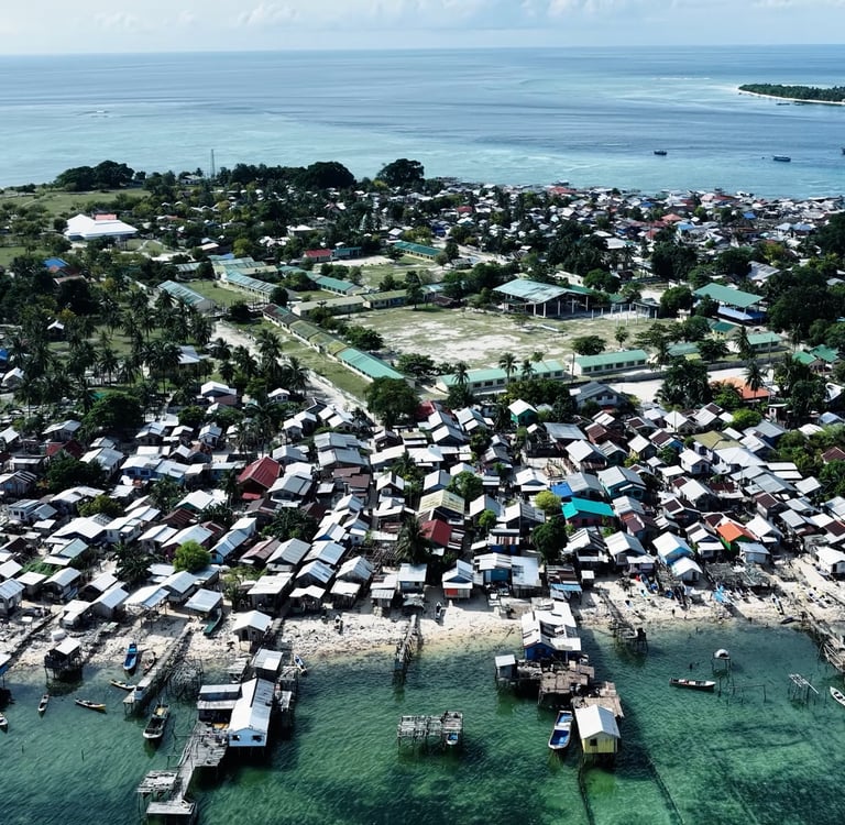 Mangsee Aerial Shot