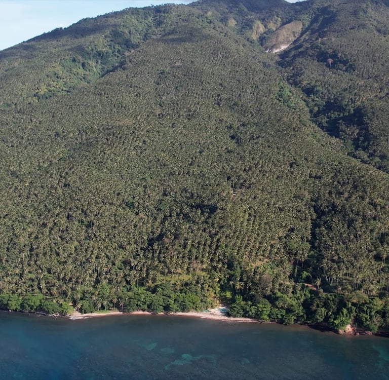Balut Island Volcanic Hotspring