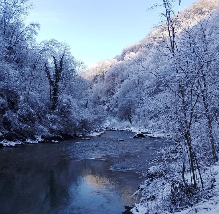 italy landscape house rent