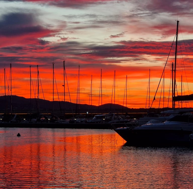 port-bormes-les-mimosas