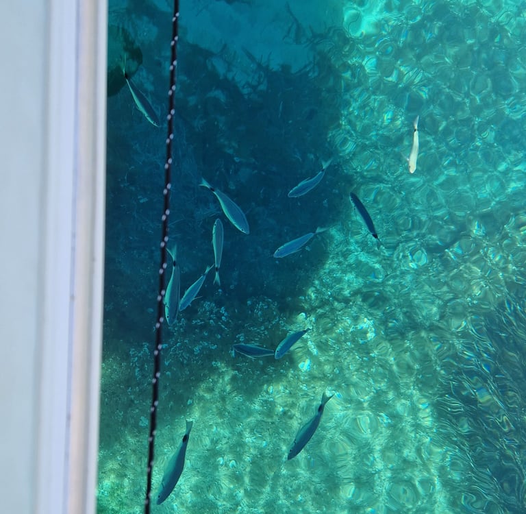 poissons-eau-turquoise-en-bateau