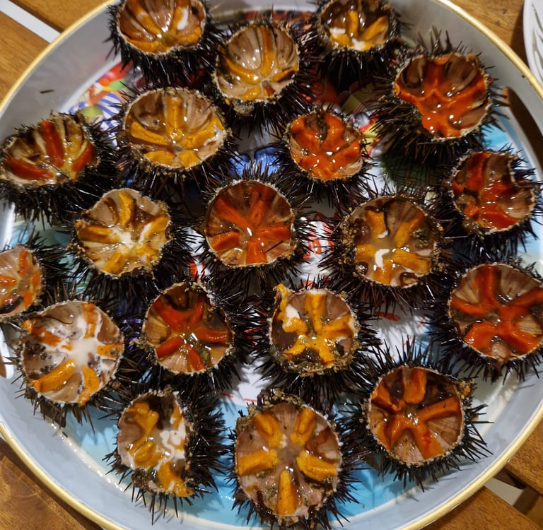 degustation-peche-sur-bateau