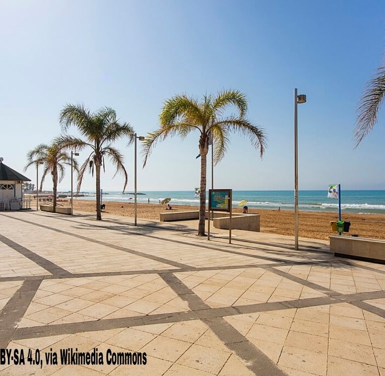 a beach with palm trees and a bench marina di ragusa sicily beach 