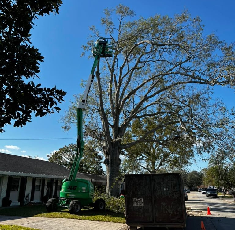 Professional tree trimming service using a green JLG cherry picker lift to prune a large oak tree.