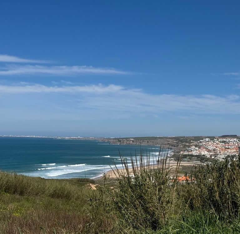 Panoramic view of the Atlantic Ocean near land purchased on Portugal's Silver Coast