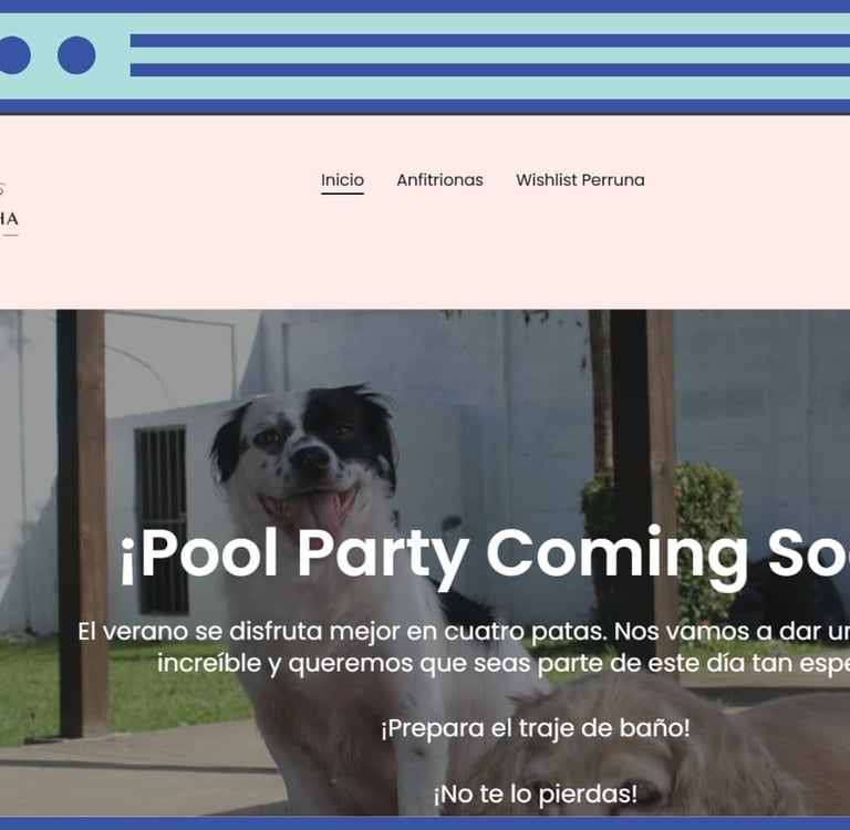 Website banner for a dogs pool party event featuring a black and white dog outdoors.