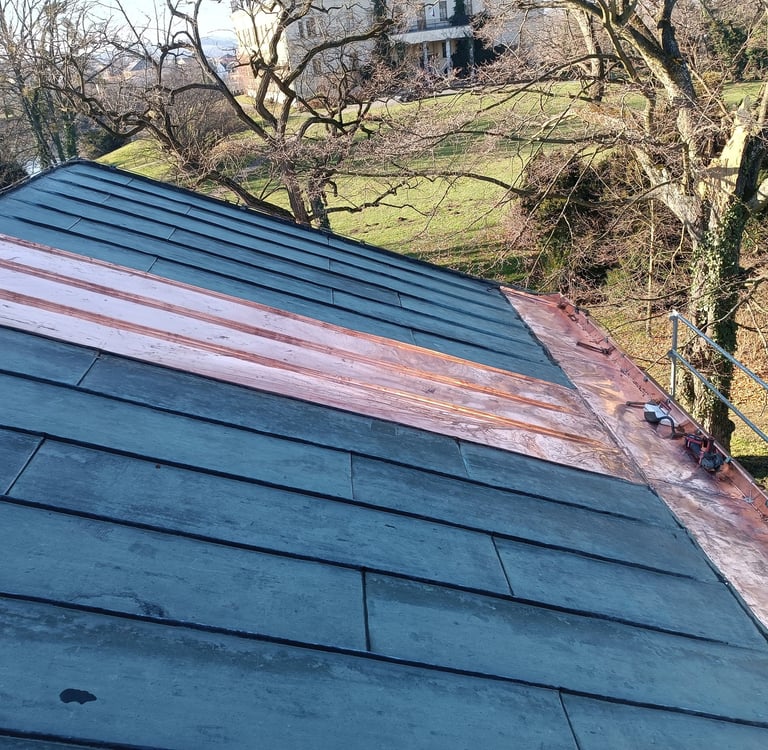 rekonstrukce-falcovanná-krytina-raduň