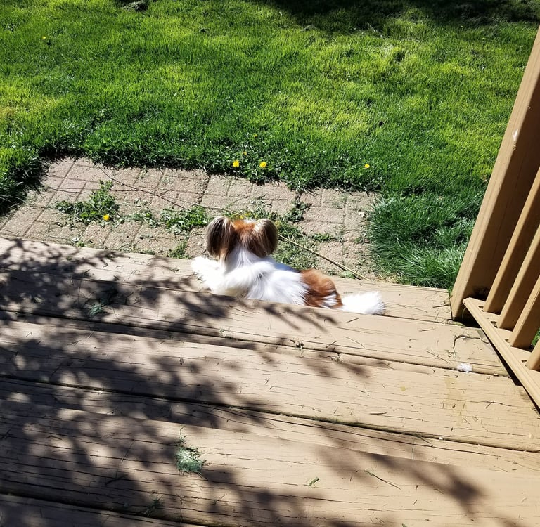 Sonny surveys his huge tracts of land from the deck