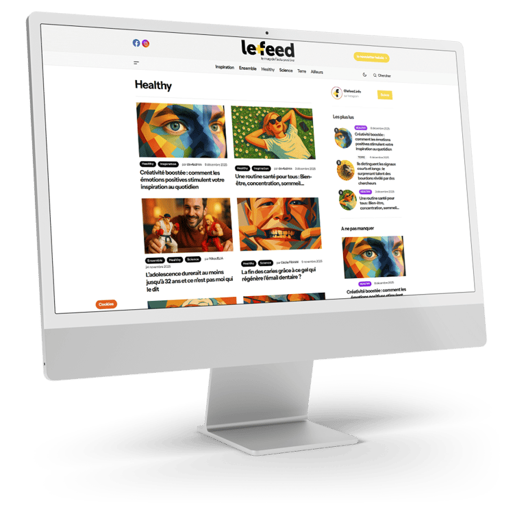 Création et maintenance du site Le Feed