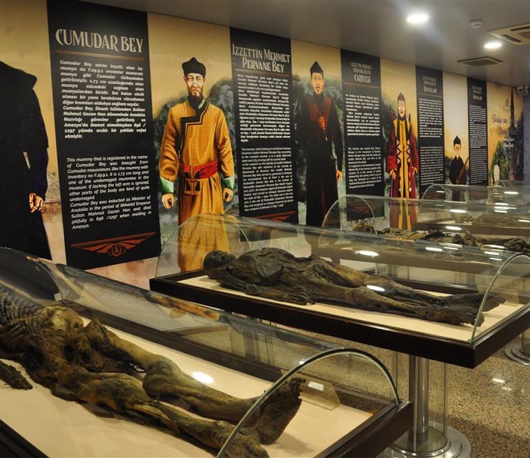 Ancient mummies on display in glass cases at the Amasya Archeological Museum in Turkey.