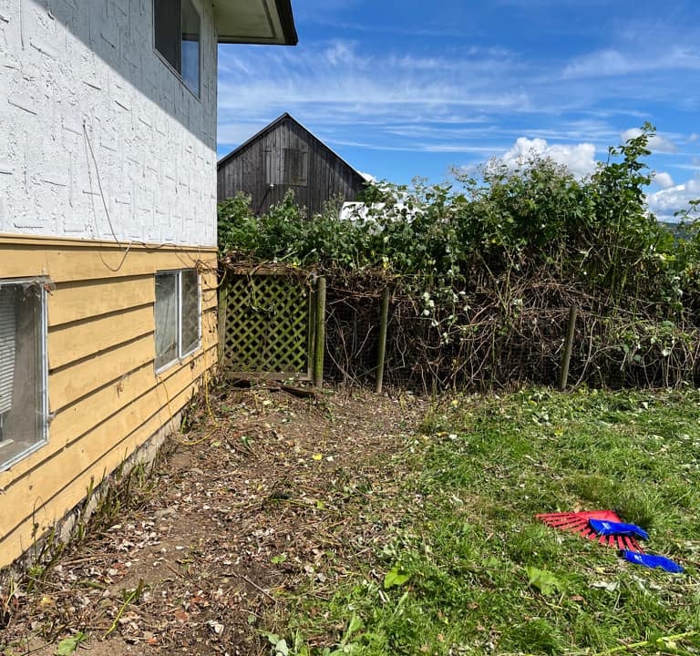 side of a house and gate now free of blackberries