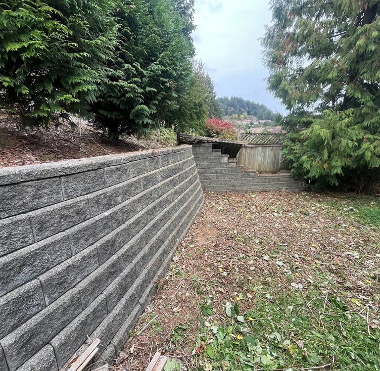 blackberry bushes removed from a retaining wall. 