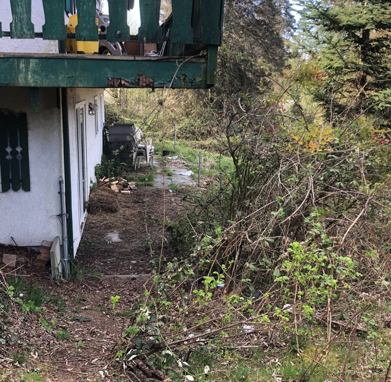 Blackberry removal before pic