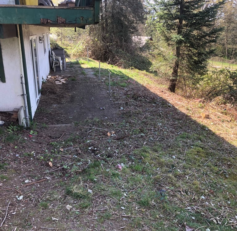 no more blackberry bushes