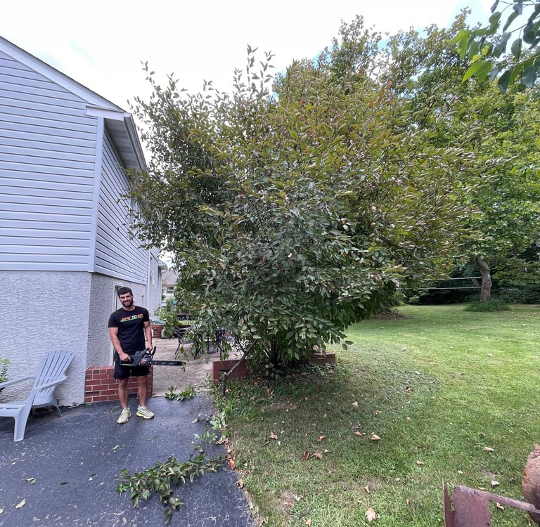 Yard waste cleanout and property services by Junk To Go.