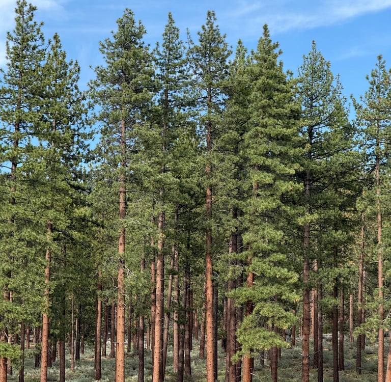 akustinis-komfortas-nematomos-sistemos-orma.lt