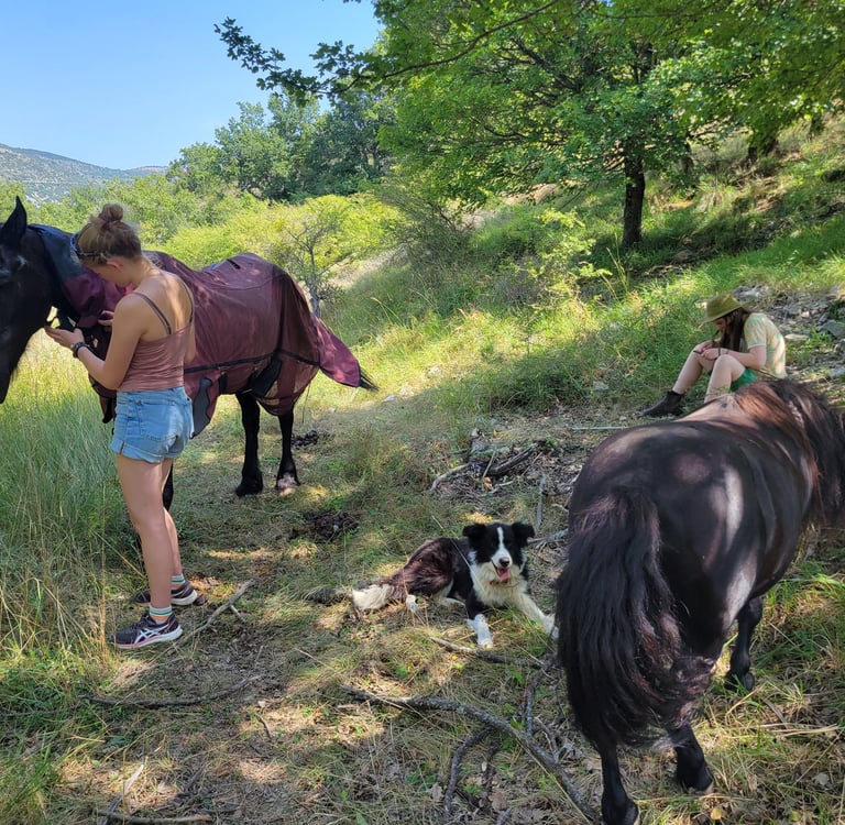 two people in a mounain landscape are hanging around with relaxed horses. One girl is drawing