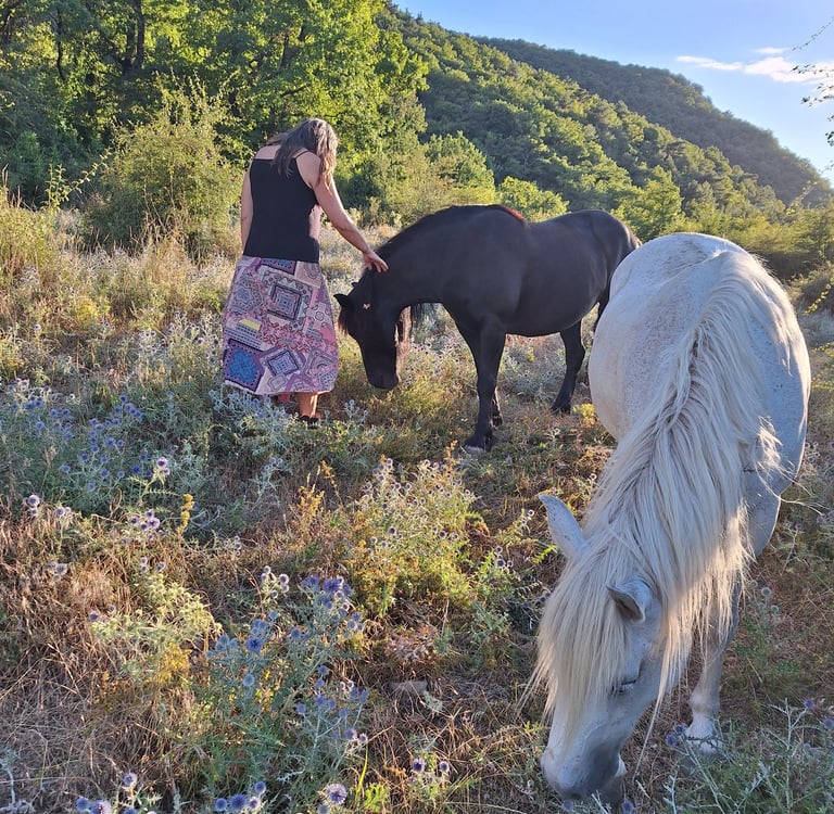 A woman standing in a mountain landscape in the south of france with peacefully grazing horses
