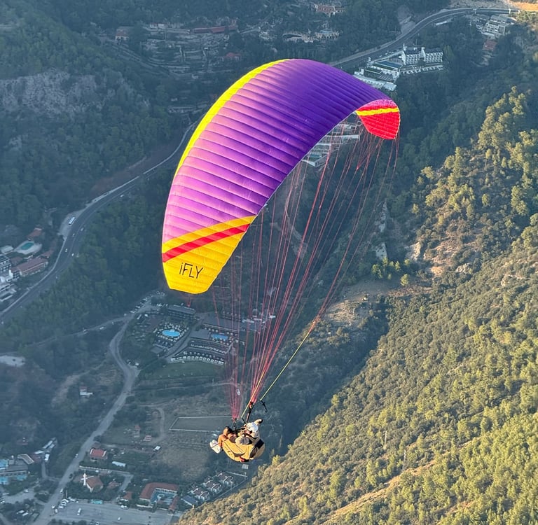 puple color hobbt acro paragliding