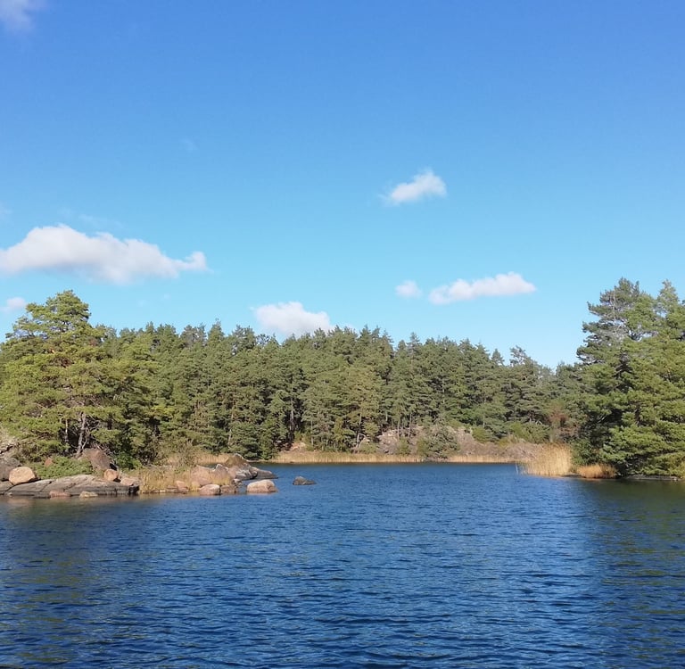 lac et forets suédoise. beau lac parfait pour pêcher le brochet en suède