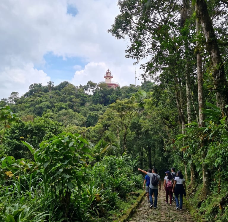 Cerro de las culebras y mirador en coatepec veracruz senderismo en mexico