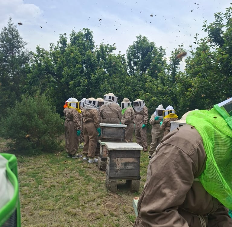ruta de miel en tlaxcala, apicultor guia con visitante vivendo experiencia apicola