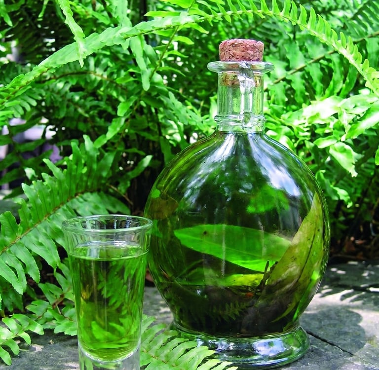 licor verde de xico en veracruz