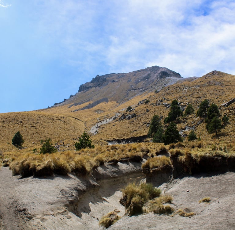 Parque nacional La Malinche Huamantla Tlaxcala