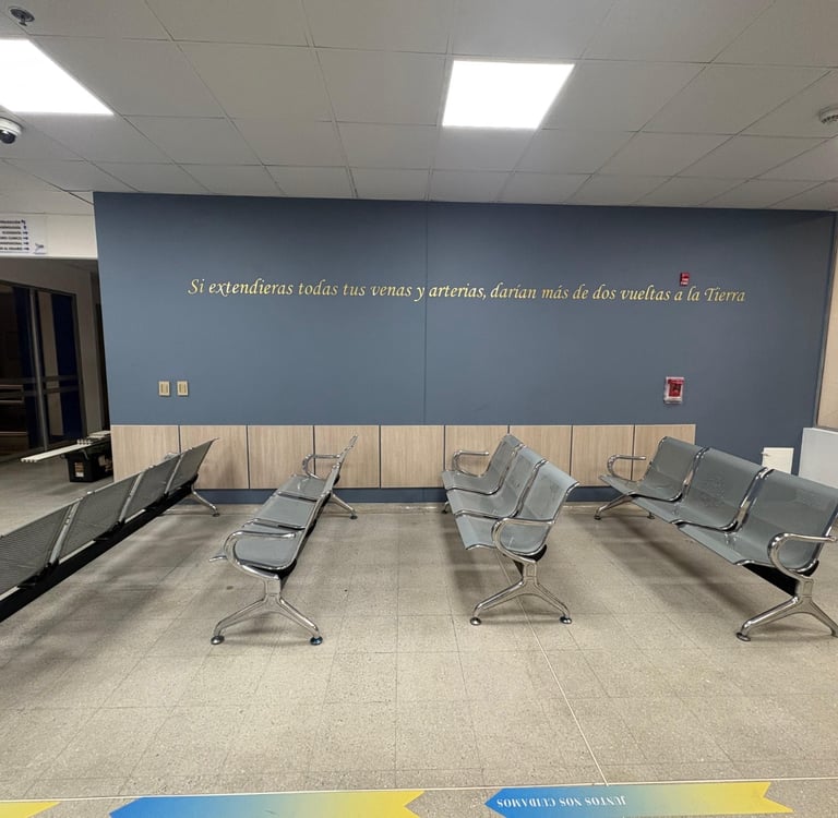 proyecto de arquitectura hospitalaria Cementta