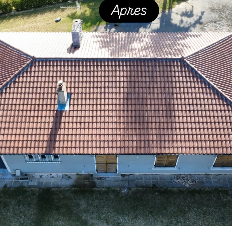 Toiture avant et après démoussage et nettoyage professionnel