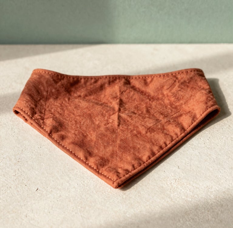 Bandana para mascotas personalizada
