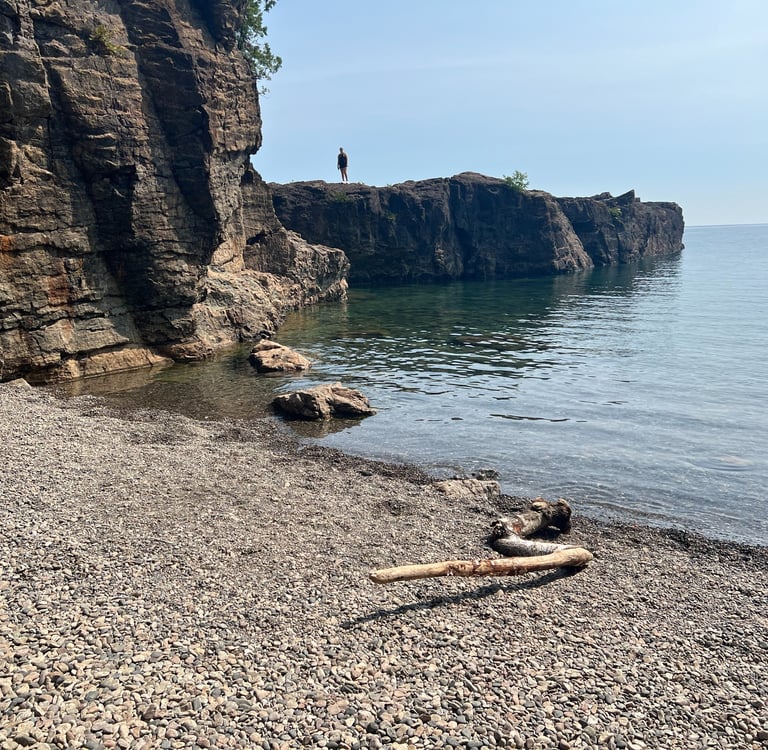 CAR Premium: Strategic creativity and executive functioning drills for an AI-proof career